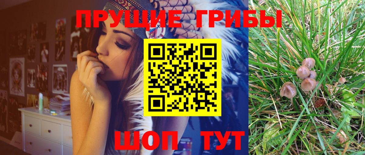 Москва  где найти   Вход с VPN  Псилоцибиновые грибы MAGIC MUSHROOMS 